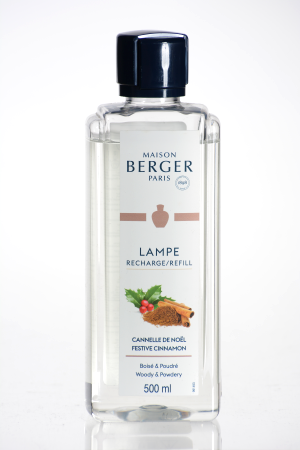 Cannelle de Noel 410947